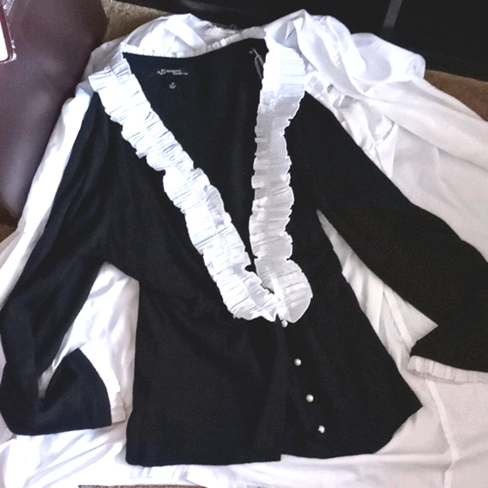 Sharagano Studio Sweater